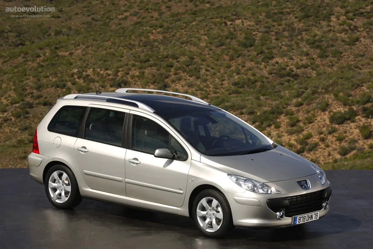Peugeot 307 307 1.6 Base 6