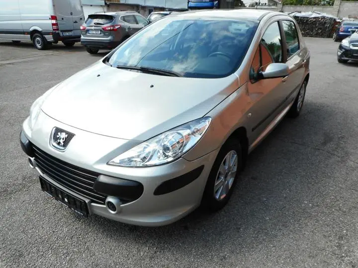 Peugeot 307 307 1.6 Comfort 5