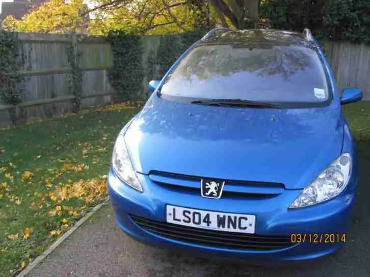 Peugeot 307 307 1.6 Envy 3