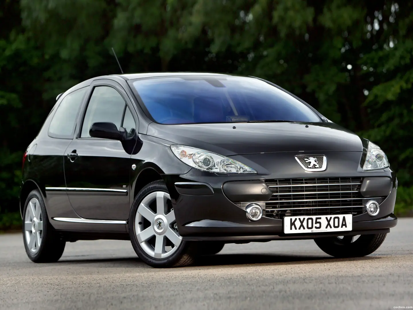 Peugeot 307 307 1.6 Look 2