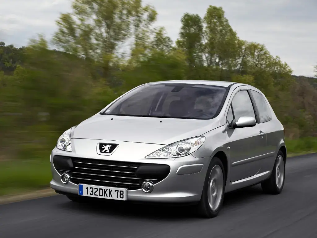Peugeot 307 307 1.6 Look 3