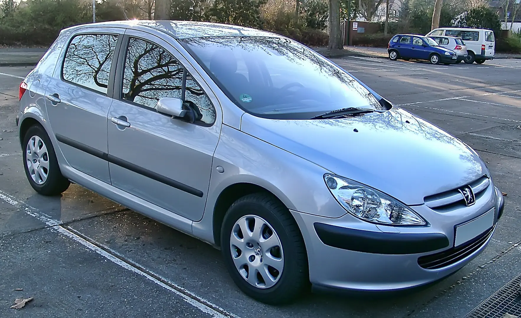 Peugeot 307 307 1.4 Look 5