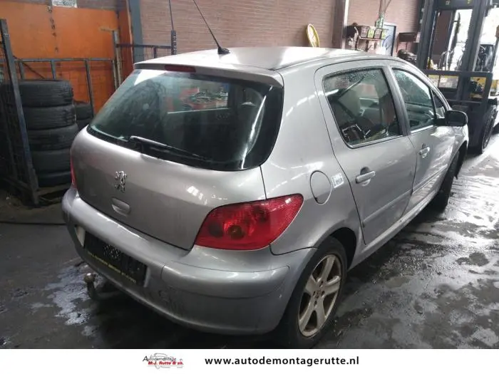 Peugeot 307 307 1.6 Envy 4