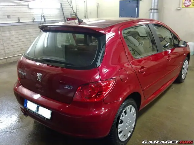 Peugeot 307 307 1.6 Feline 0