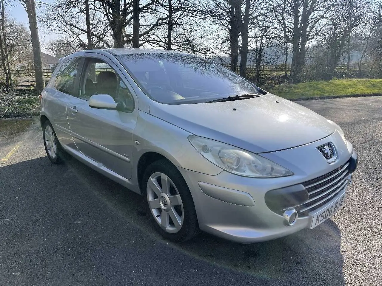 Peugeot 307 307 1.6 Feline 2
