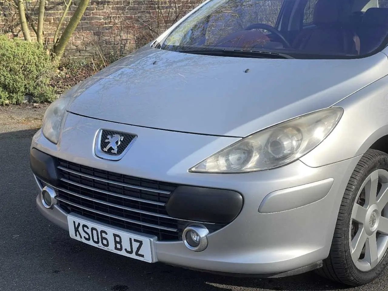 Peugeot 307 307 1.6 Feline 4