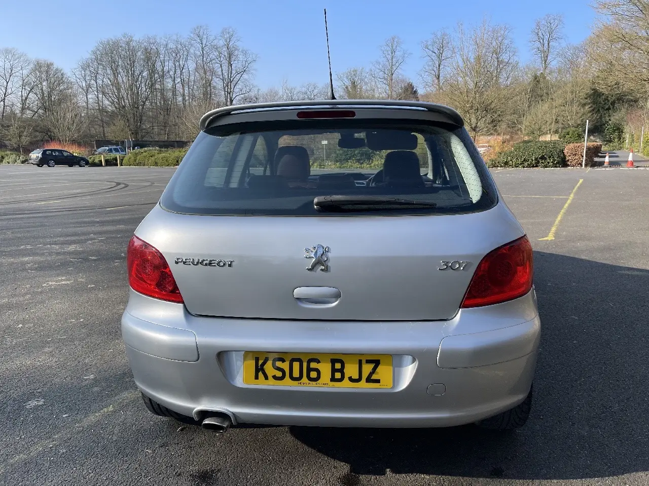 Peugeot 307 307 1.6 Feline 5