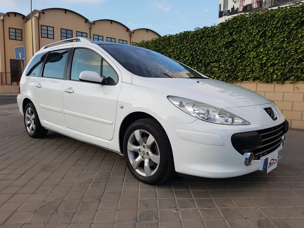 Peugeot 307 307 1.6 Pack 5