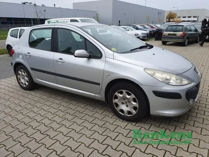 Peugeot 307 307 1.6 Premium 1