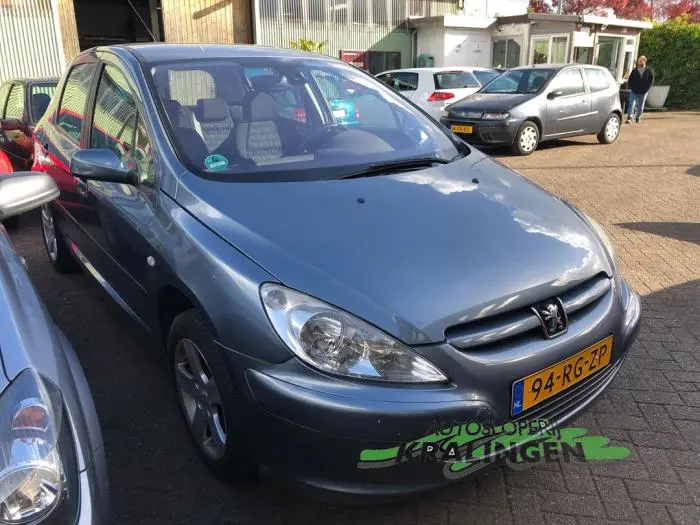 Peugeot 307 307 1.6 Look 6