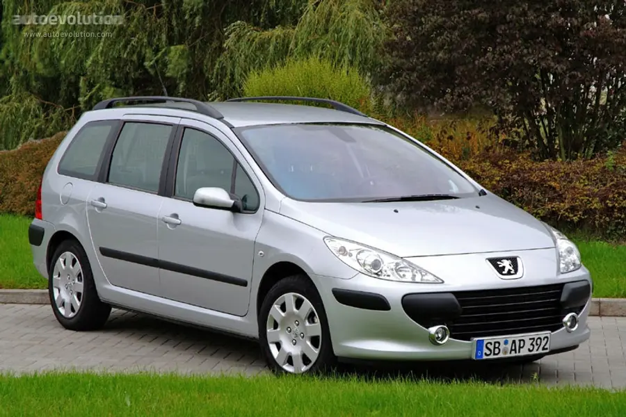 Peugeot 307 307 1.6 Pack 6