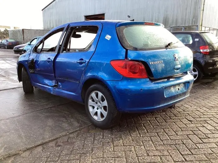 Peugeot 307 307 1.6 Premium 5