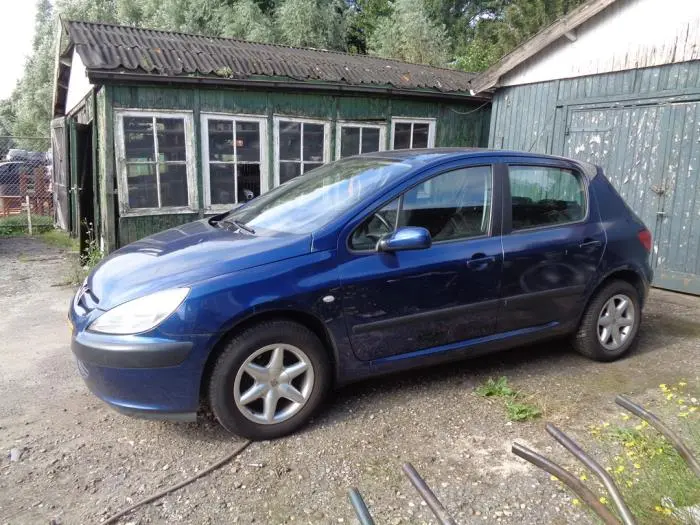 Peugeot 307 307 1.6 Technoplus 0