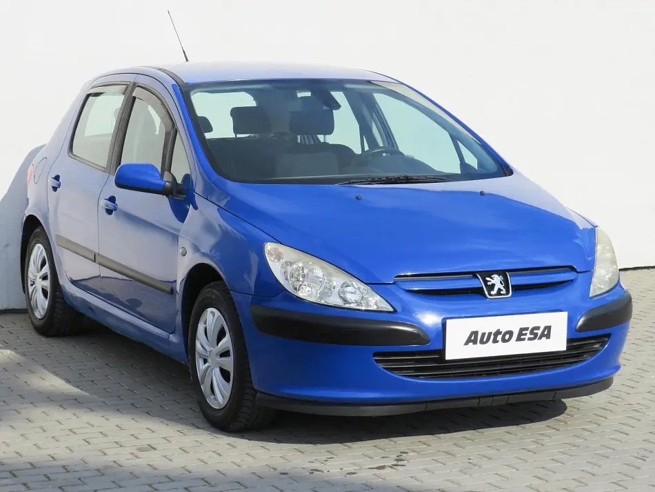 Peugeot 307 307 1.6 Technoplus 4