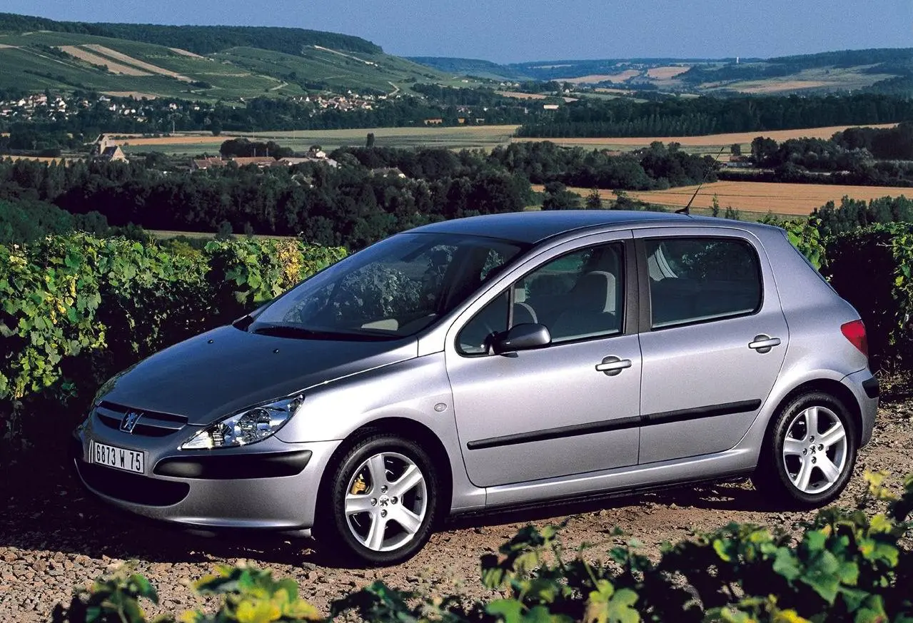 Peugeot 307 307 2.0 XS 6