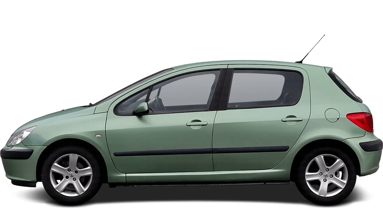 Peugeot 307 307 1.6 XT 5