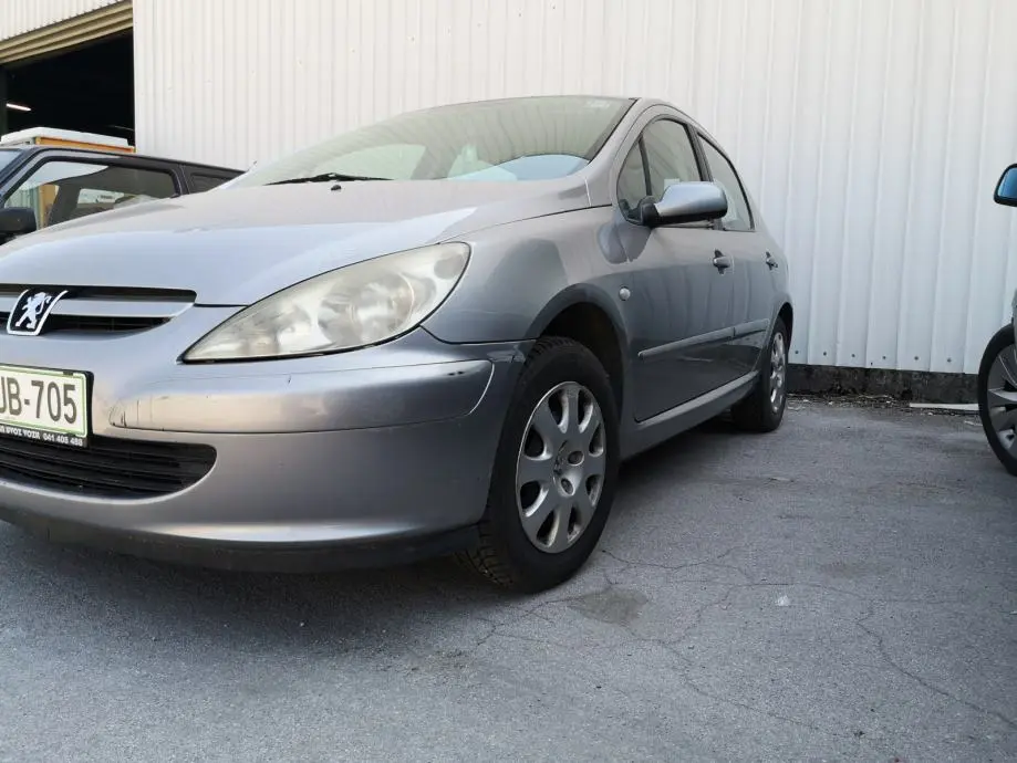 Peugeot 307 307 1.6 XS 5