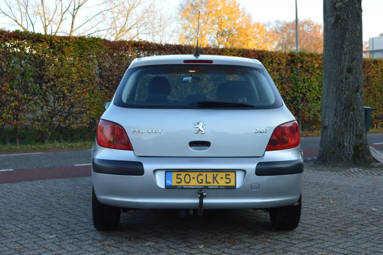 Peugeot 307 307 1.6 XS 6