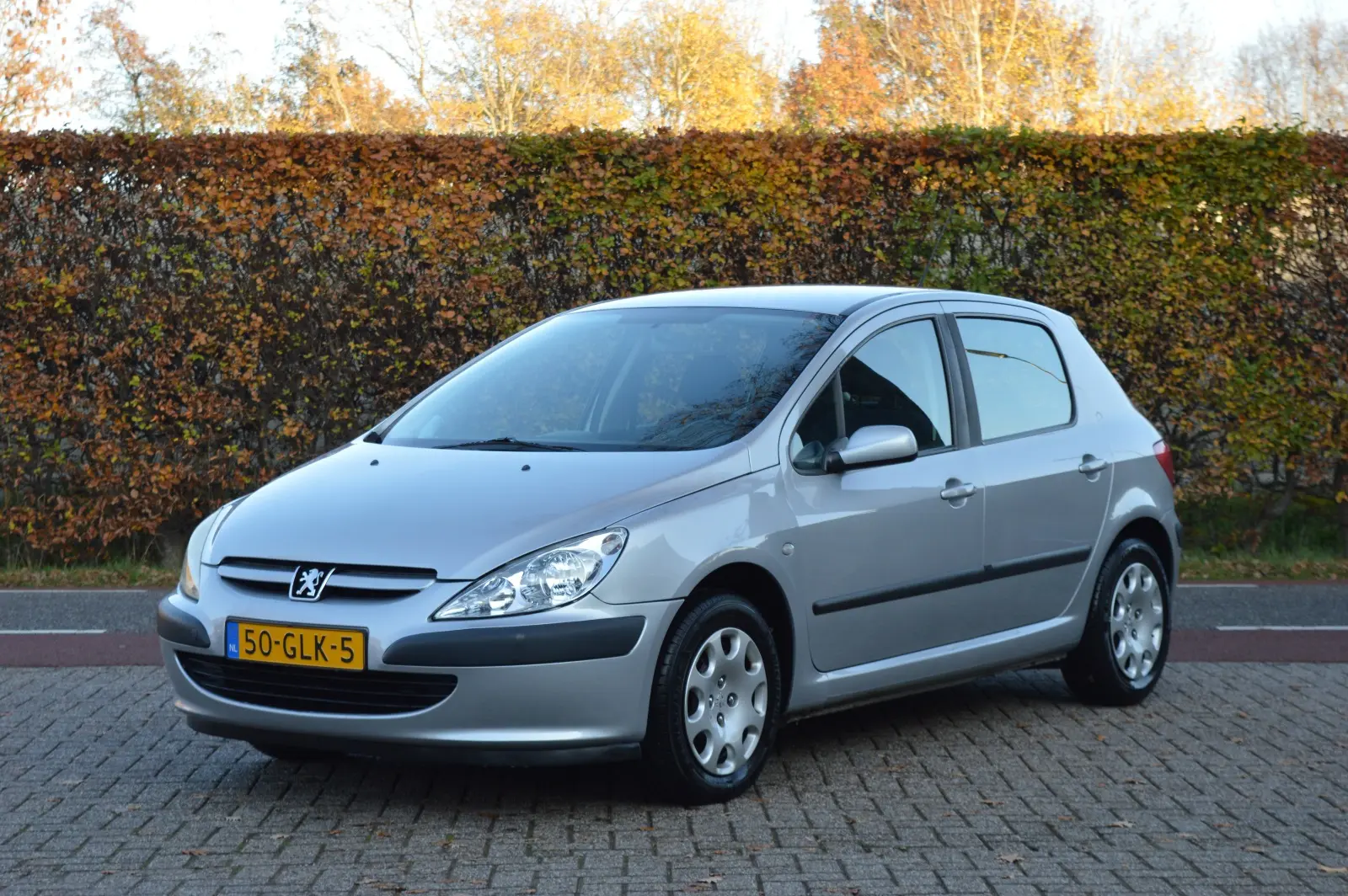Peugeot 307 307 1.6 XS 6