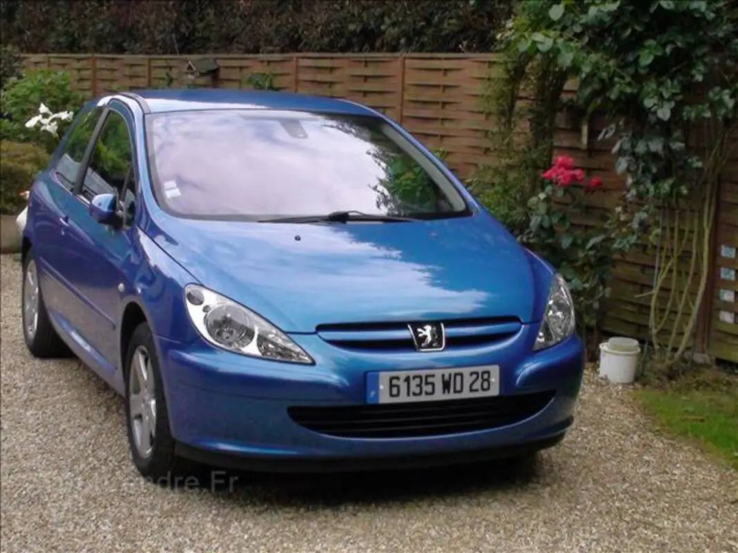 Peugeot 307 307 2.0 HDI XSI 4