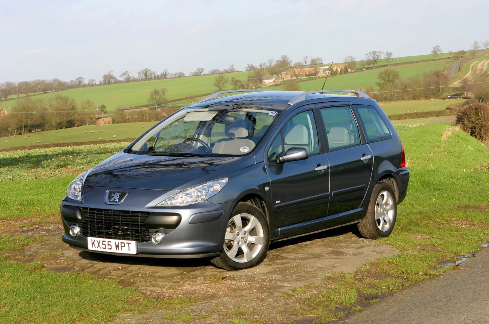 Peugeot 307 307 2.0 Pack 7