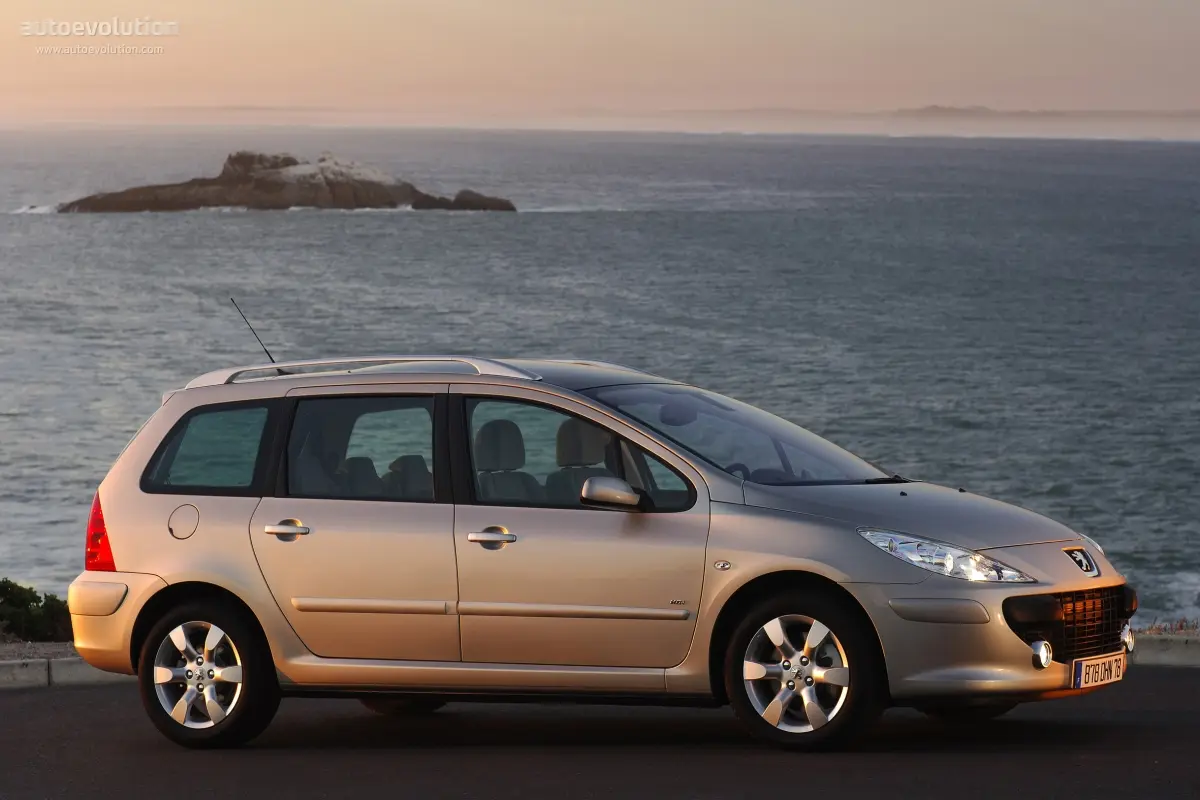 Peugeot 307 307 2.0 Premium 2