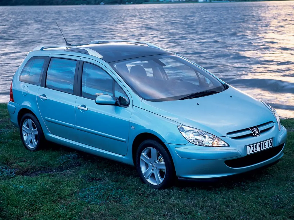 Peugeot 307 307 2.0 Premium 7