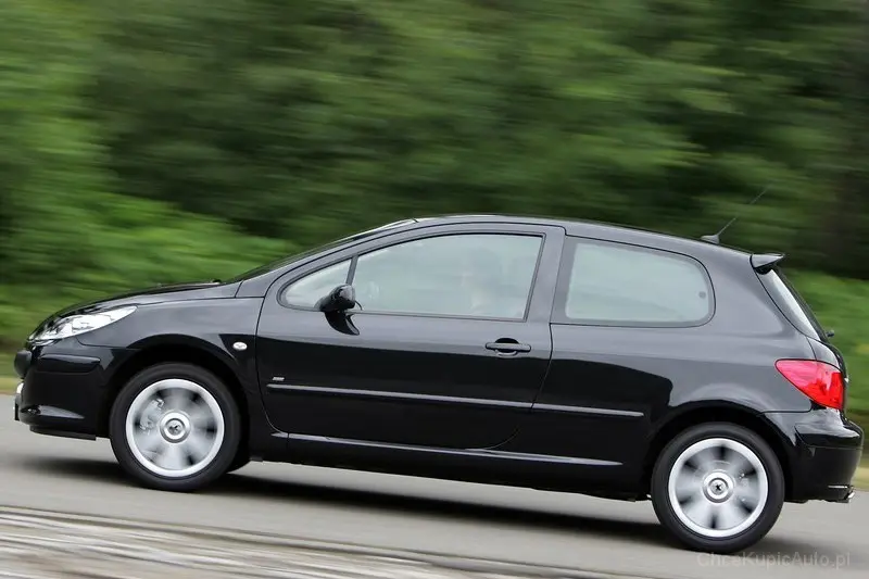 Peugeot 307 307 2.0 HDI XT 2