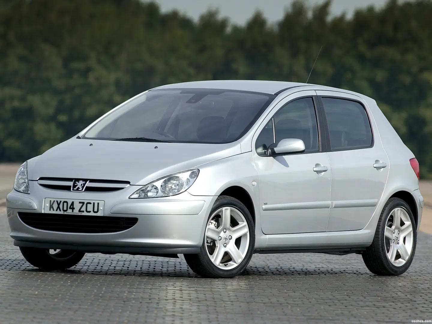 Peugeot 307 307 1.6 XT 2