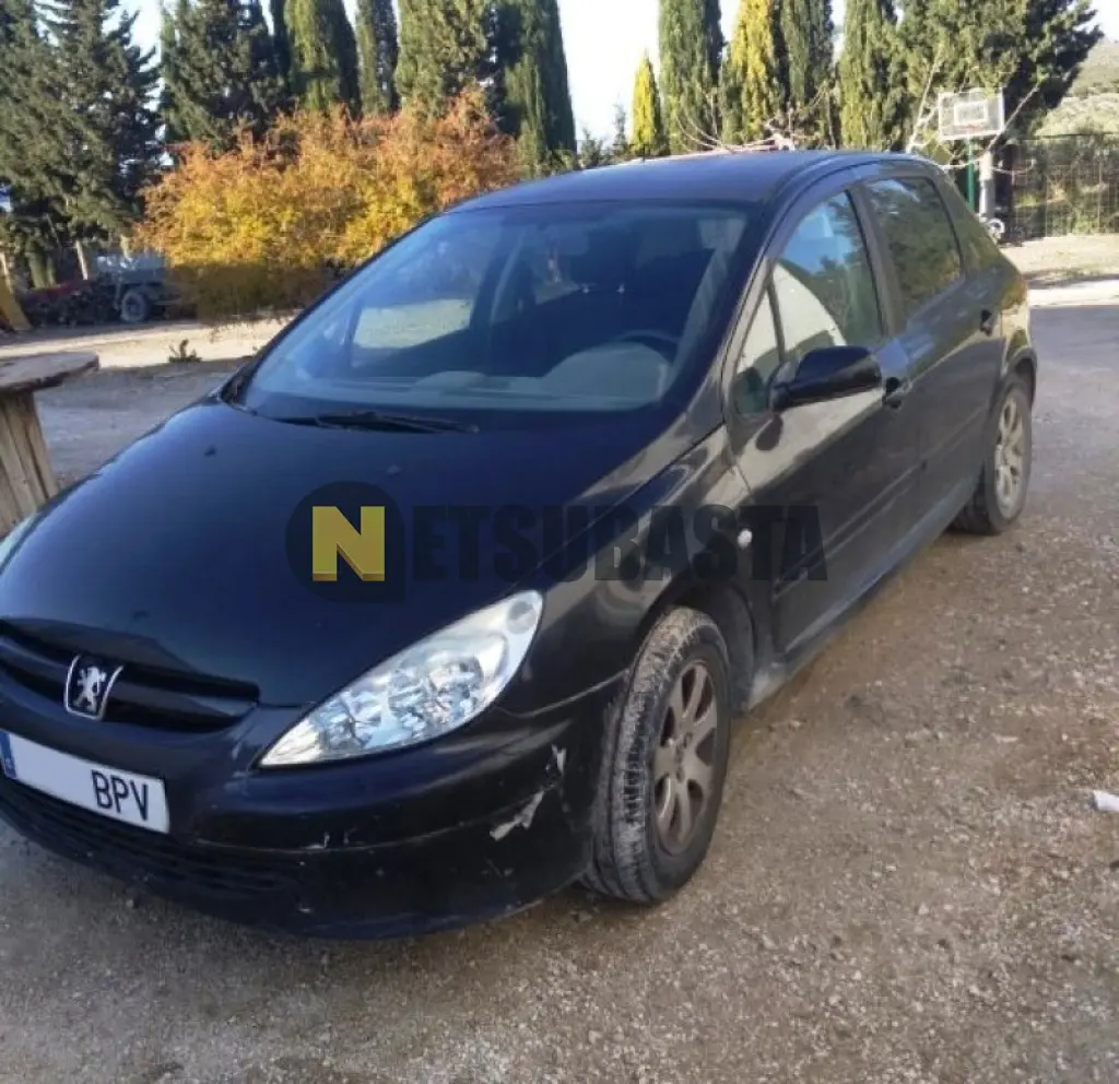 Peugeot 307 307 2.0 XS 6