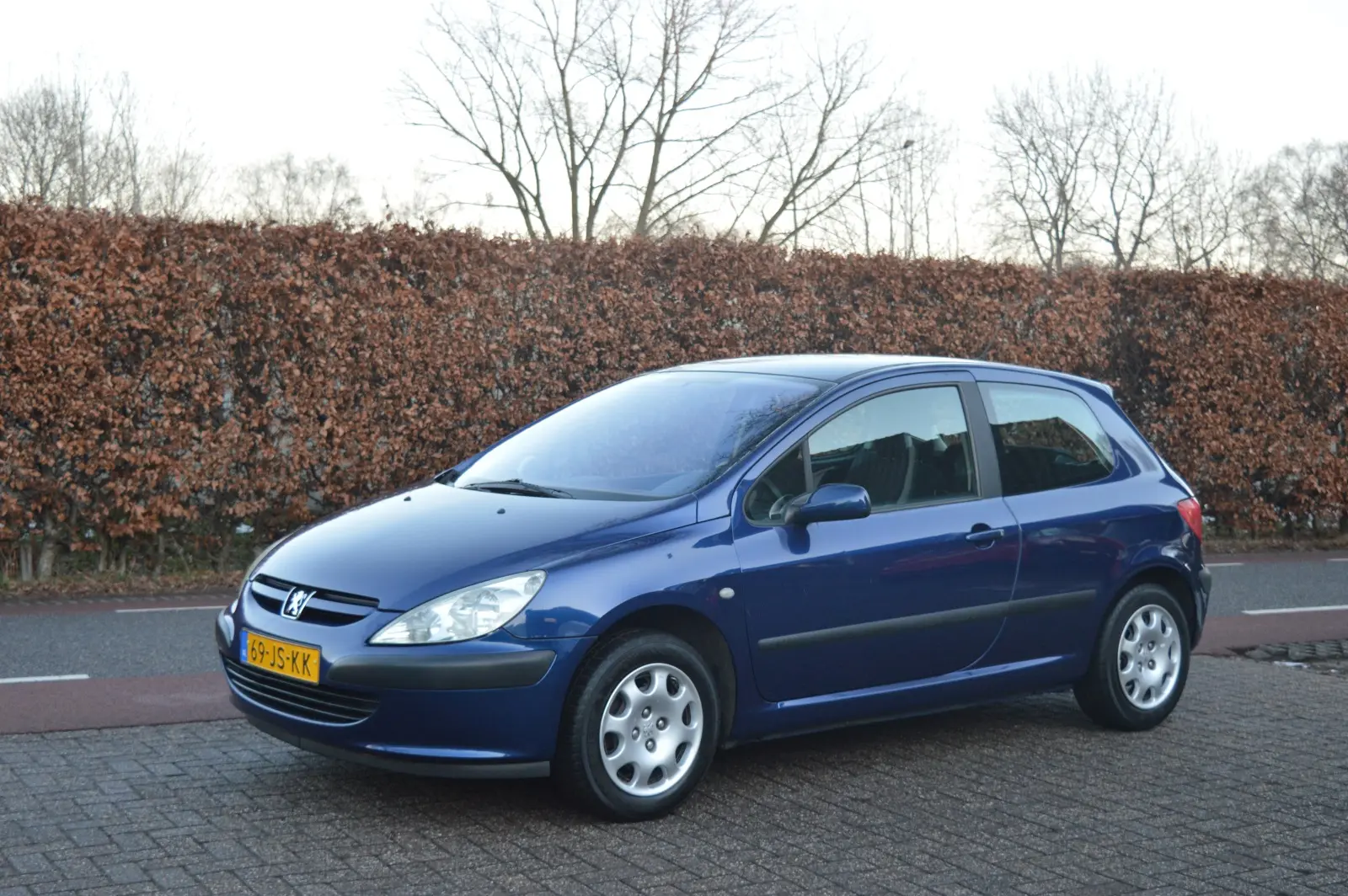 Peugeot 307 307 2.0 XS 6