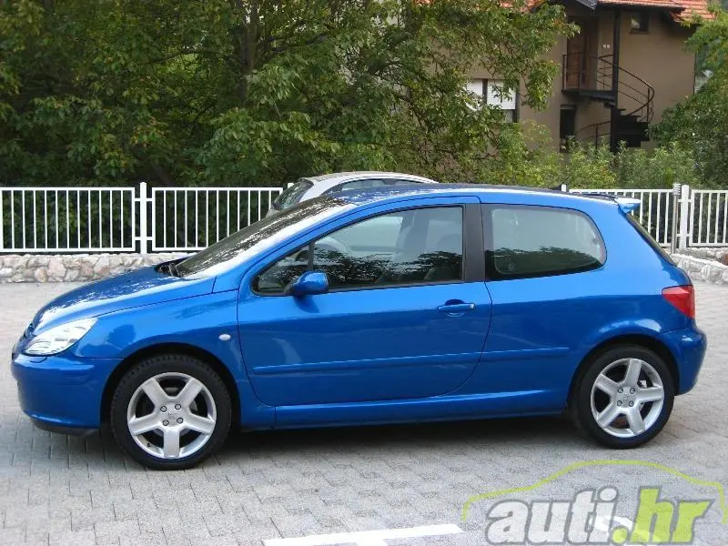 Peugeot 307 307 2.0 XSI 6