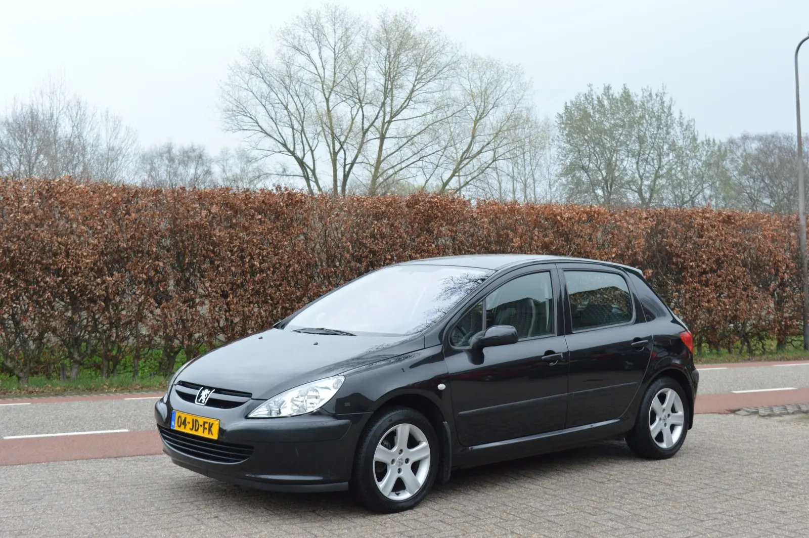 Peugeot 307 307 2.0 XT 4