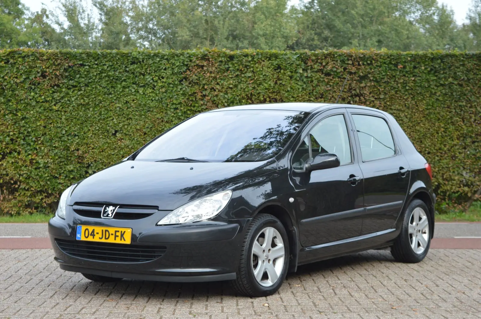 Peugeot 307 307 2.0 XT 4