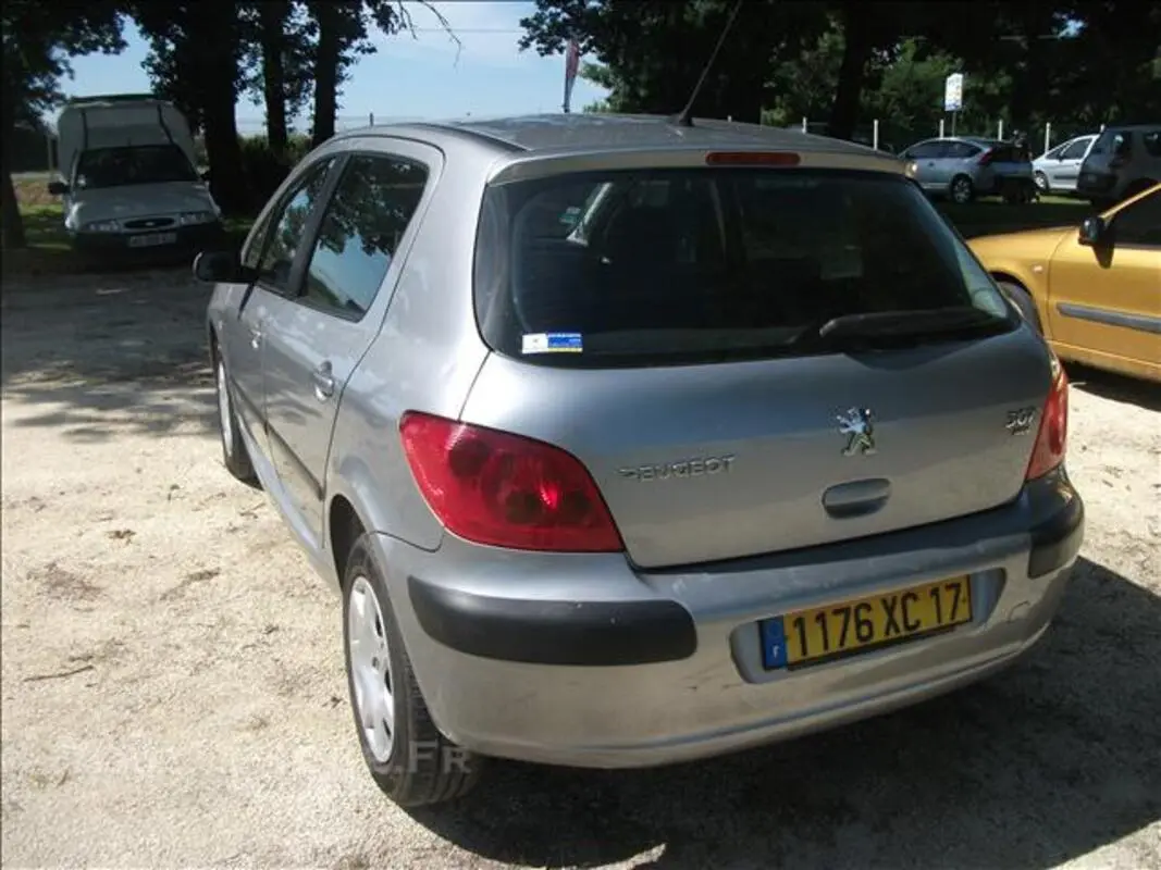 Peugeot 307 307 2.0 XT 1
