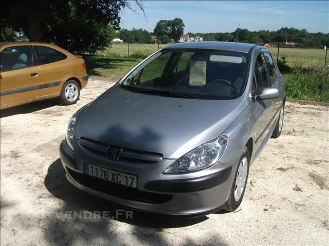 Peugeot 307 307 2.0 XT 2