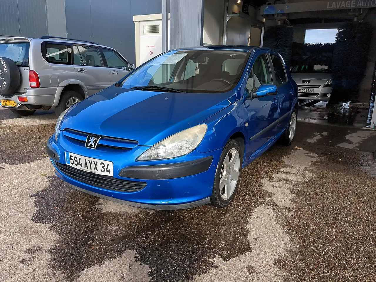 Peugeot 307 307 2.0 XT Premium 3