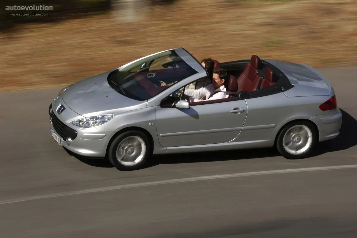 Peugeot 307 307 CC 2.0 Dynamic 0