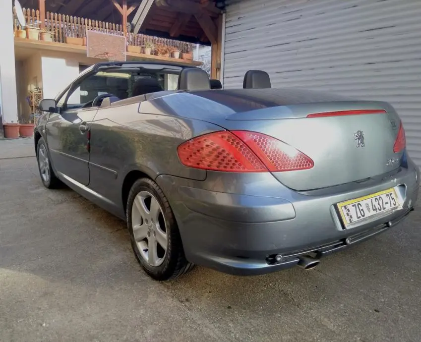 Peugeot 307 307 CC 1.6 Standard 5