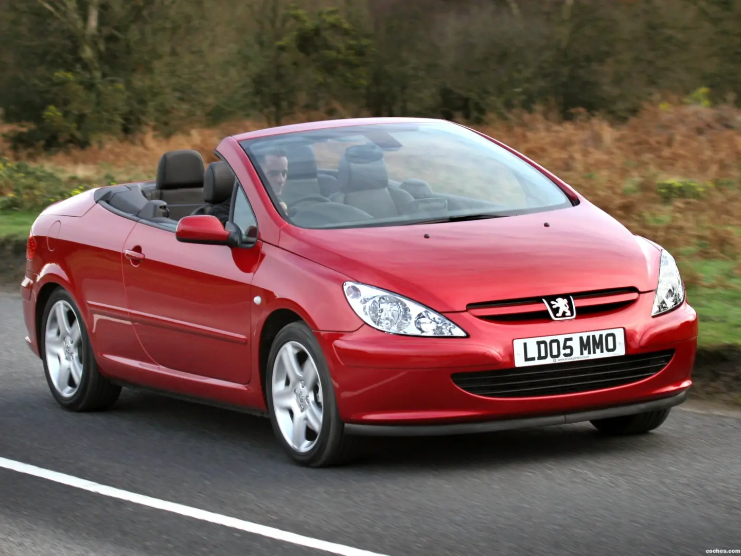 Peugeot 307 307 CC 2.0 Dynamic 5
