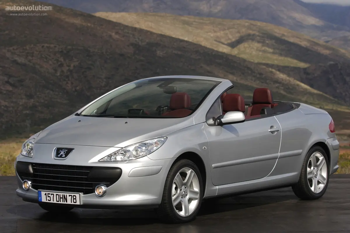 Peugeot 307 307 CC 2.0 Dynamic 7