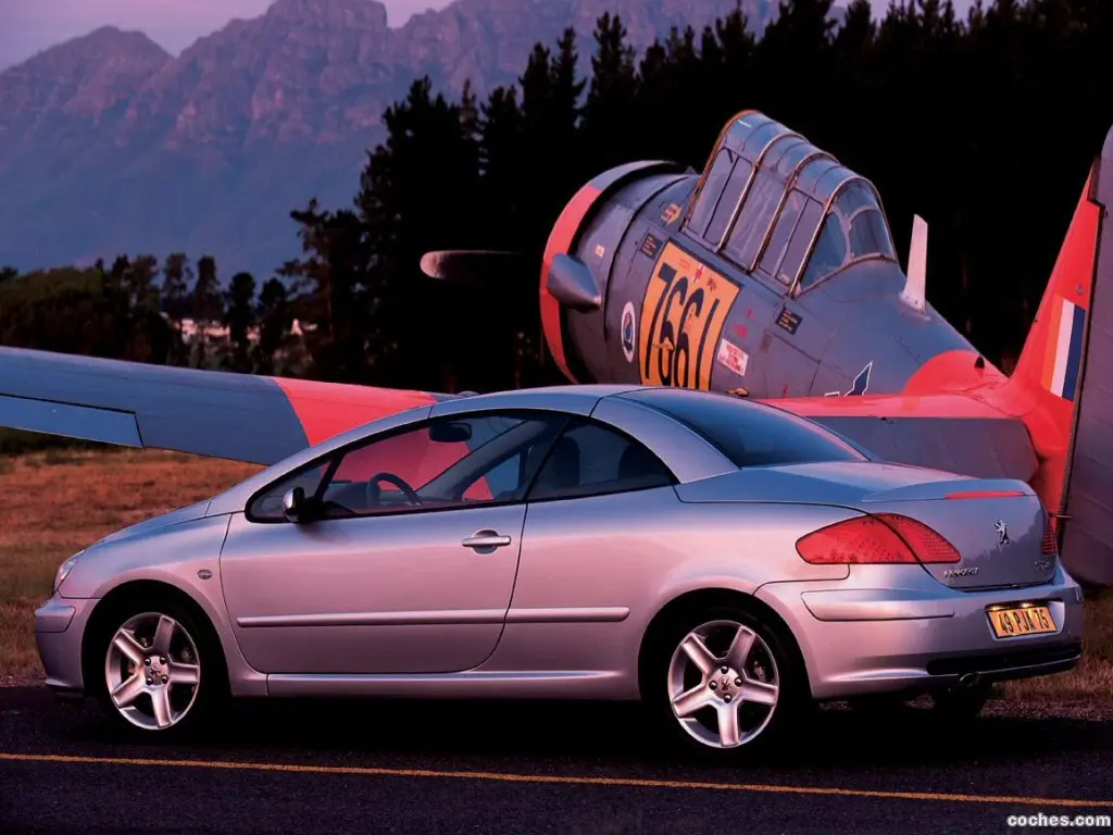 Peugeot 307 307 CC 2.0 Dynamic 6