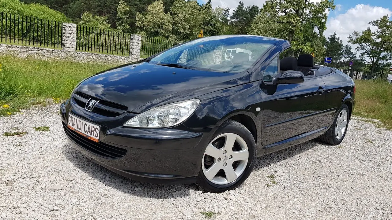 Peugeot 307 307 CC 2.0 Dynamic 6