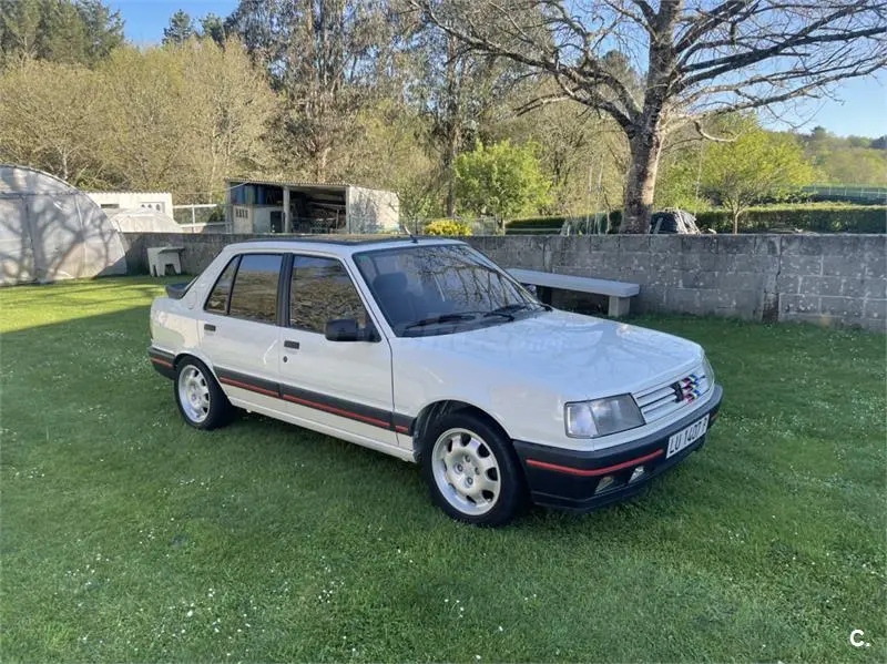 Peugeot 309 309 1.9 GTI 3