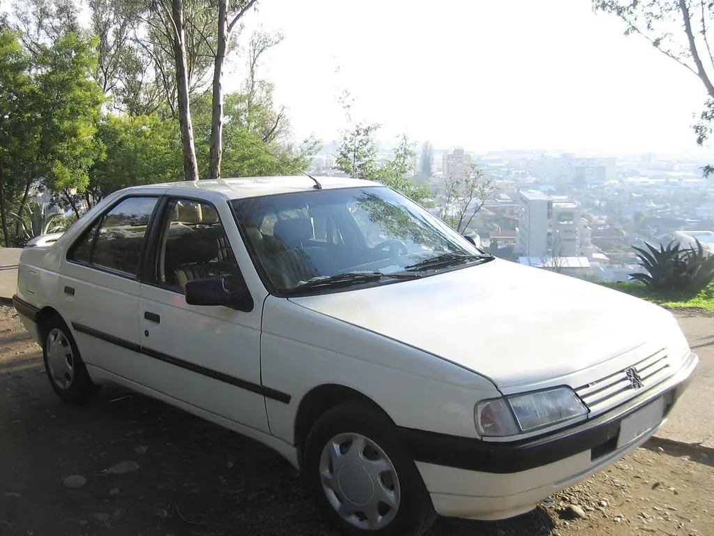 Peugeot 405 405 1.6 GL 5