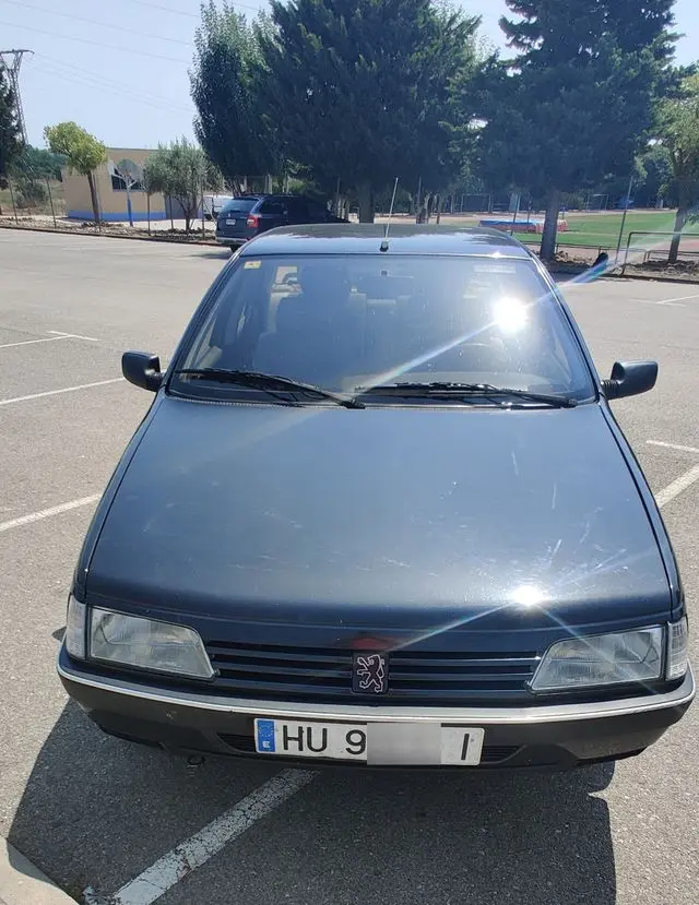 Peugeot 405 405 1.9 GR 5