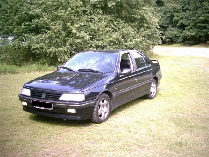 Peugeot 405 405 1.9 GR 6