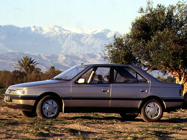 Peugeot 405 405 1.9 SRi 5