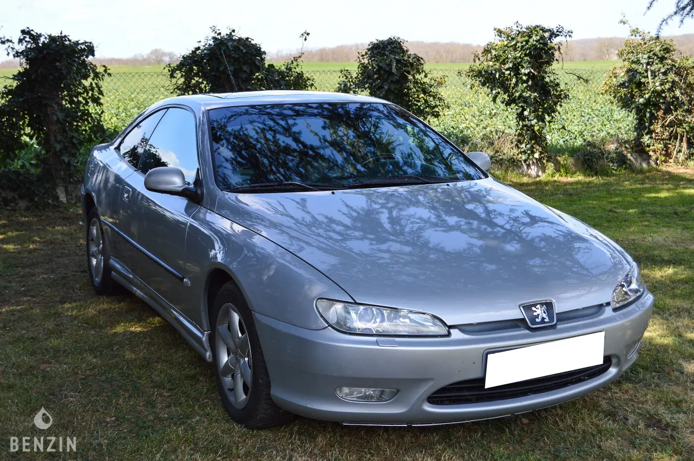 Peugeot 406 406 2.0 16V 6