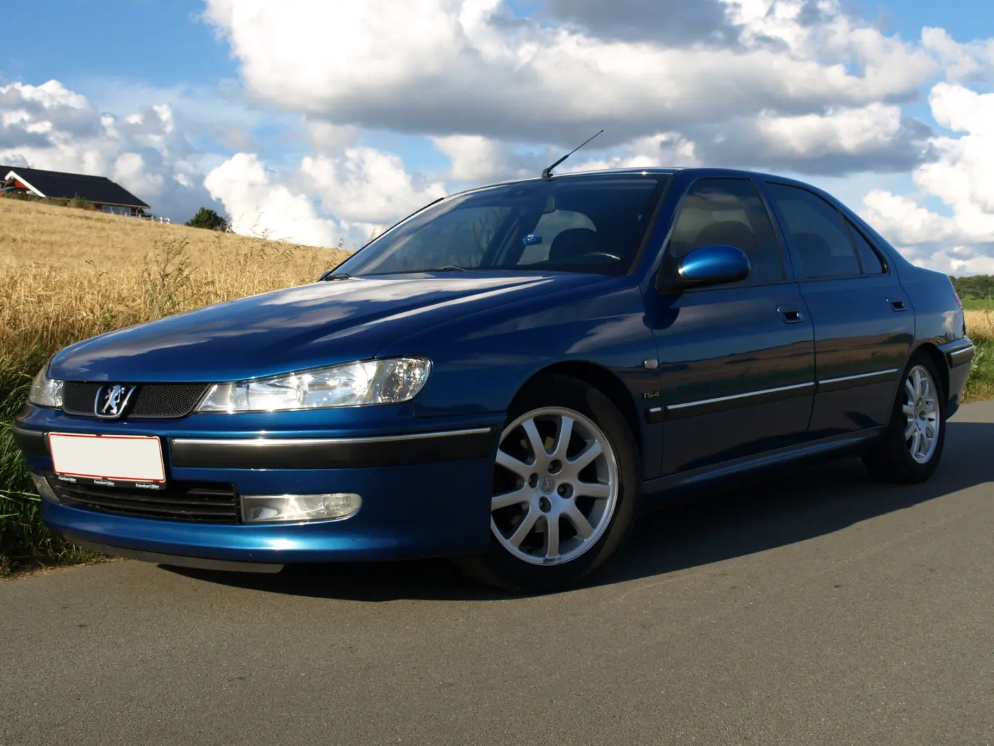 Peugeot 406 406 2.2 Standard 5